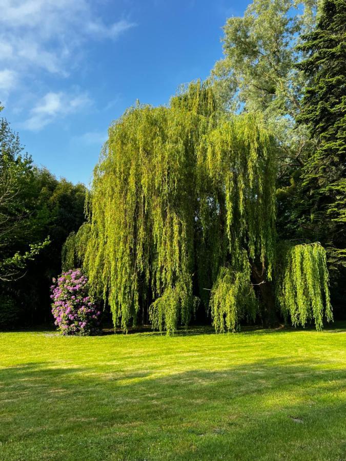 Le Clos De Lily Coudray-Rabut Bagian luar foto